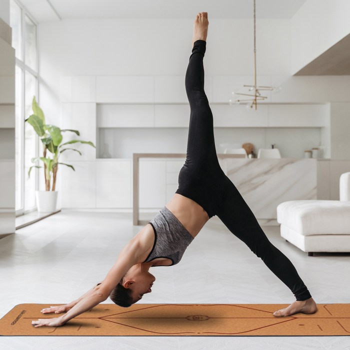 powertrain cork yoga mat with carry straps home gym pilates body line jQuery(document).ready(function($) { // Target the Products page if($('body').hasClass('edit-php') && $('body').hasClass('post-type-product')) { $("th.column-admin_commission").css( 'width', '10%' ); } });