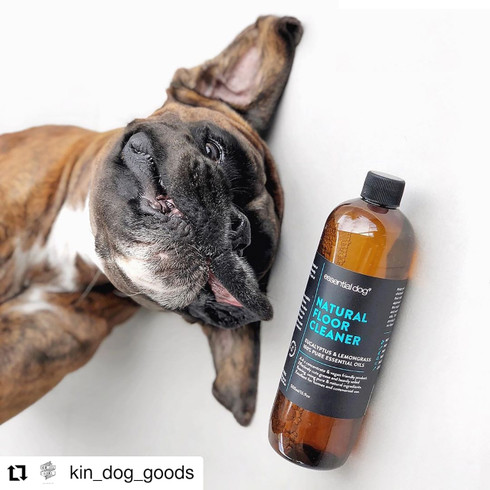 essential dog 500ml natural floor cleaner (eucalyptus and lemongrass) essential dog 500ml natural floor cleaner (eucalyptus and lemongrass)