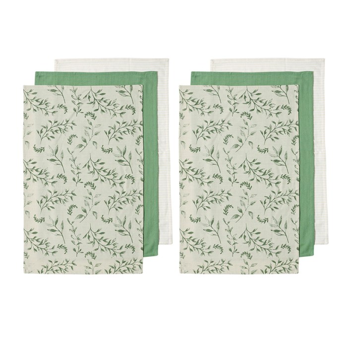 v442 lde teat grownivysetof6 green re 77950 00.jpg