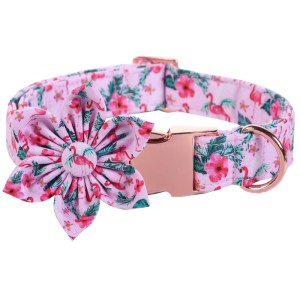 collar-and-flower