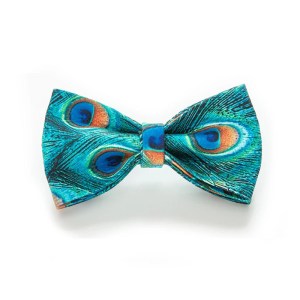 peacock-bow