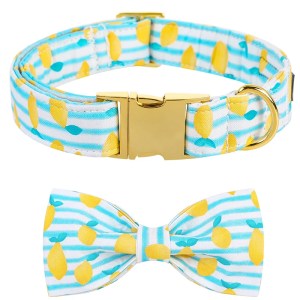 lemon dog collar with bowtie unique style paws cute dog collar set Lemon Dog Collar with Bowtie Unique Style Paws Cute Dog Collar Set 1