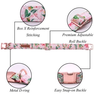 Unique style paws Flory Pink Dog Collar 4