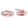 collar-leash
