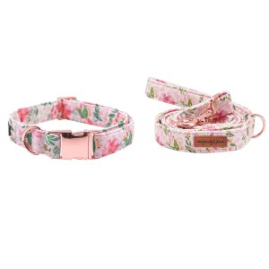 collar-leash