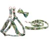 harness-leash-bowtie