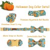 pumpkin dog collar with bow Pumpkin Dog Collar with Bow 2