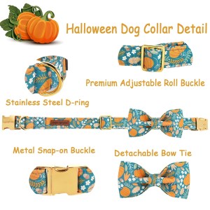 pumpkin dog collar with bow Pumpkin Dog Collar with Bow 2