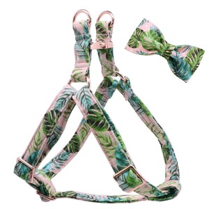 harness-with-flower