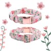 Unique style paws Flory Pink Dog Collar 2