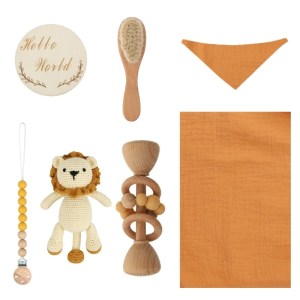 lion-set-d