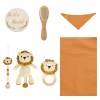 lion-set-a