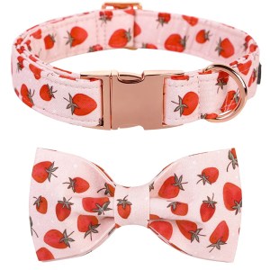 Strawberry Dog Collar with Bowtie