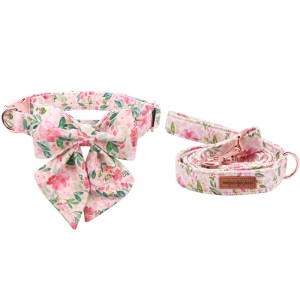 collar-bow-leash