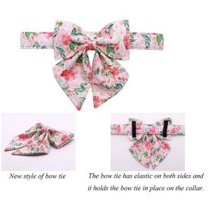 Unique style paws Flory Pink Dog Collar 3
