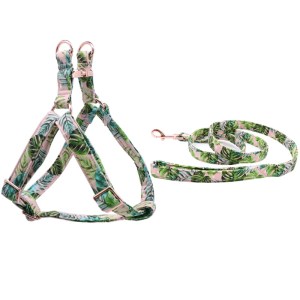 harness-and-leash