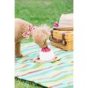 Strawberry Dog Collar with Bowtie 5