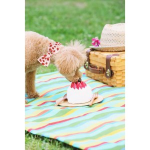 strawberry dog collar with bowtie Strawberry Dog Collar with Bowtie 5