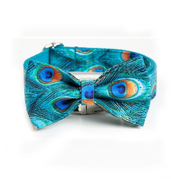 Peacock Print Pet Dog Collar and Leash Set