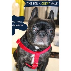 Red Velvet Dog Harness Basic Dog Leash Adjustable Buckle Cotton Fabric for Dog or Cat 5