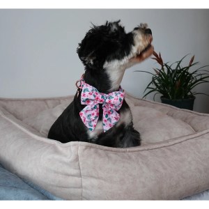 unique style paws summer dog collar with bow tie, pink flamingo Unique Style Paws Summer Dog Collar with Bow tie, Pink Flamingo 3