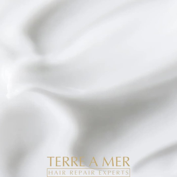 terre a mer pure hydration amino acid/argan oil shampoo 60ml travel size