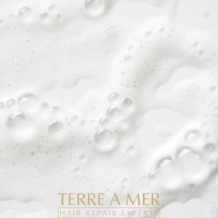 terre a mer pure hydration amino acid/argan oil shampoo 60ml travel size
