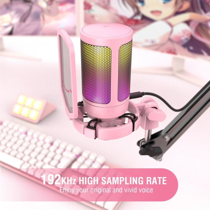 fifine usb gaming pc microphone for podcasts rgb computer condenser desktop mic for studio/video pink FIFINE USB Gaming PC Microphone for Podcasts RGB Computer Condenser Desktop Mic for studio/Video Pink 4