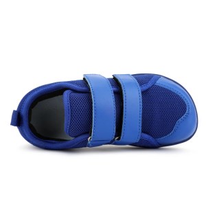blue-2509