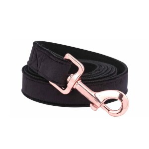 leash