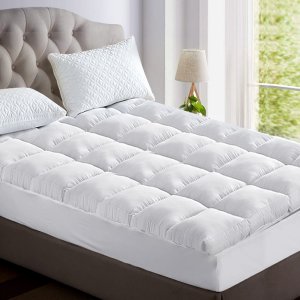 topper bam ks 202502281426 00.jpg