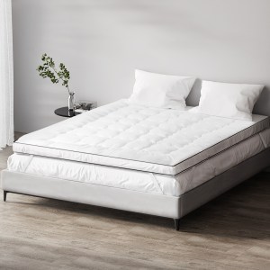 topper mf q 202502281428 00.jpg