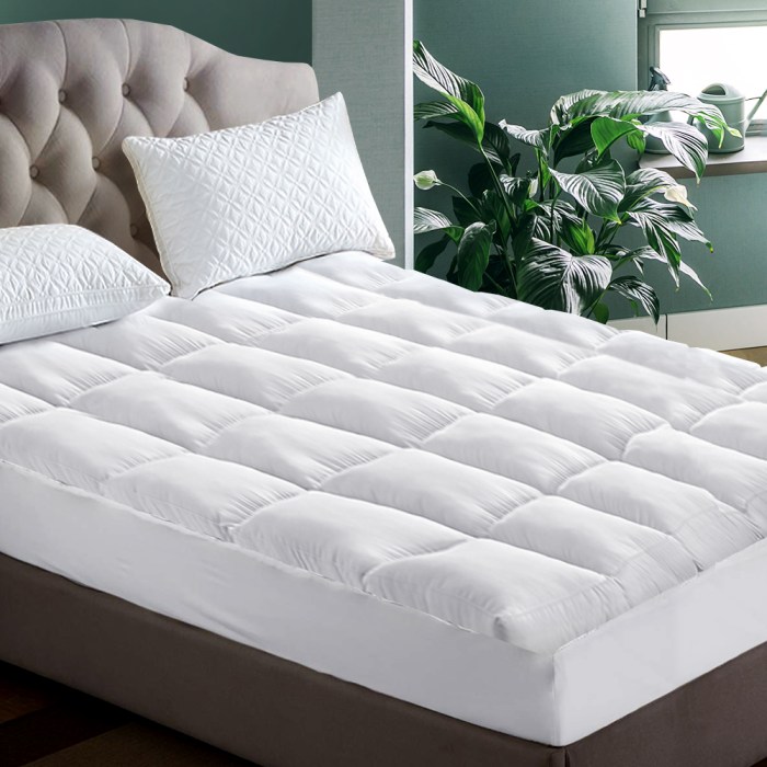 topper pt ks 202502281430 00.jpg