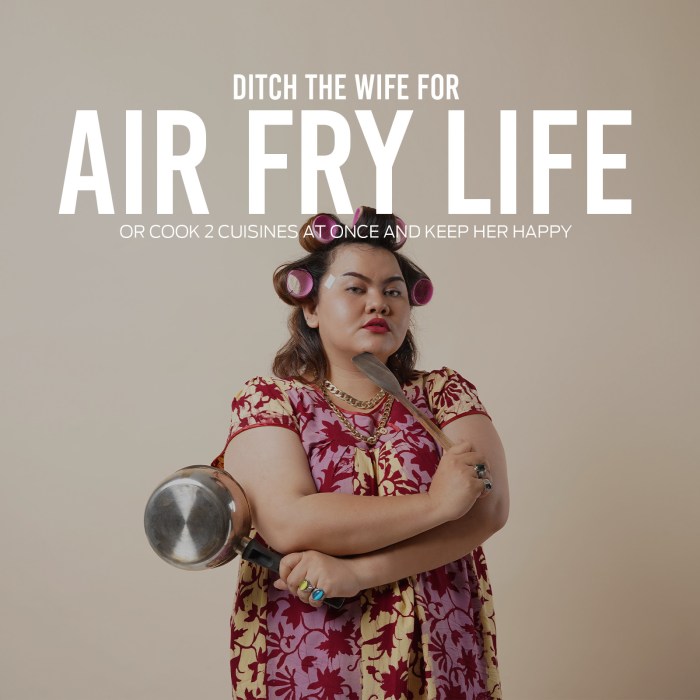 kitchen couture dual view 2 x 5 litre (10 litre) air fryer stainless steel kitchen couture dual view 2 x 5 litre (10 litre) air fryer stainless steel