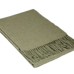 v164 pa11 paddingtonolive pa11 1024x1024 2x 00.jpg