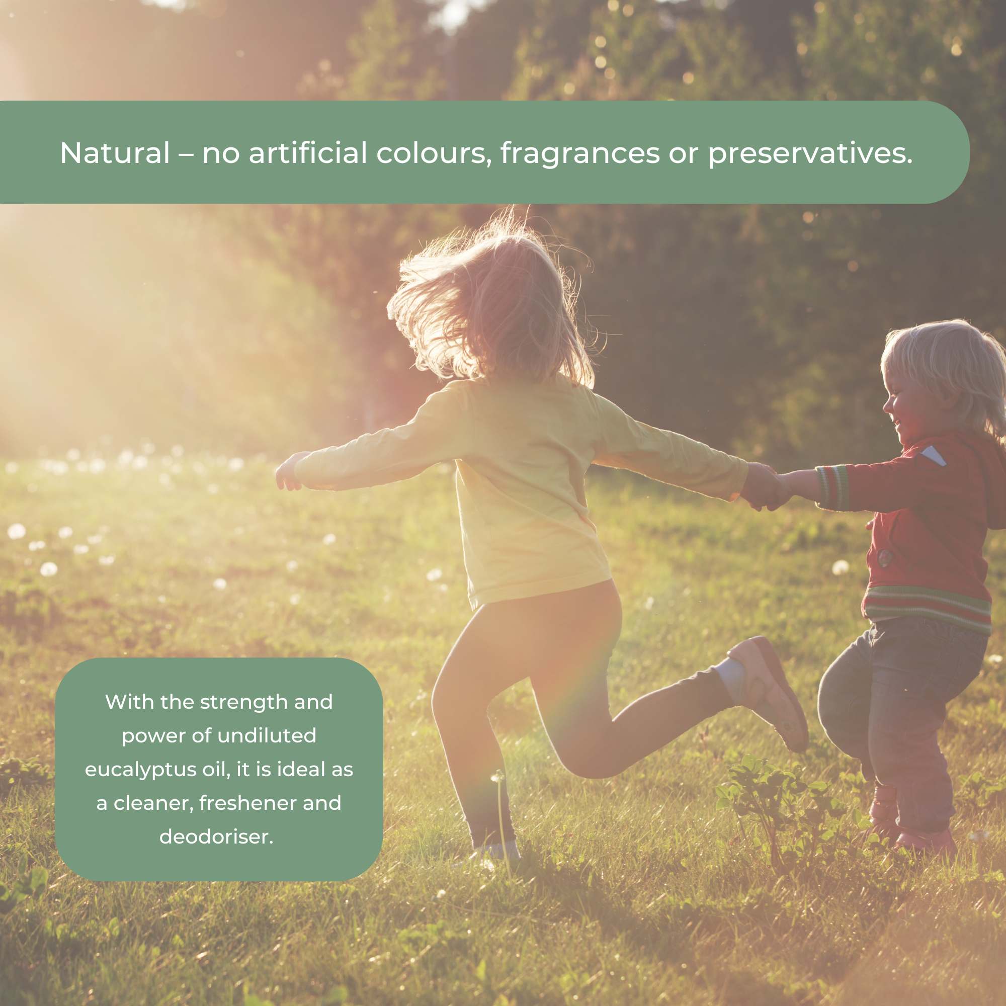 4l commercial cleaner natural bosisto's eucalyptus oil floor kitchen bathroom