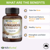 organic ashwagandha capsules (vegan) withania somnifera organic ashwagandha capsules (vegan) withania somnifera