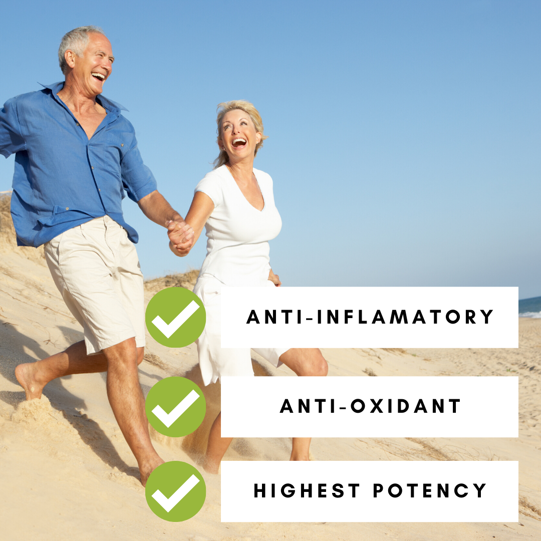 95% organic curcumin extract cocoa flavour turmeric powder with black pepper organic and with black pepper,