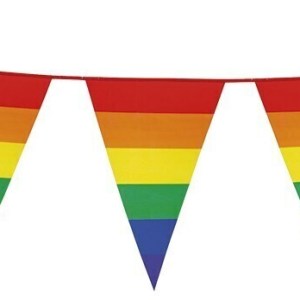 3.6m rainbow bunting flag party banner birthday triangle flags decor pride
