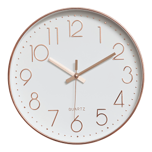 v63 825981 638ed725dc5ab.1000x1000 00.png