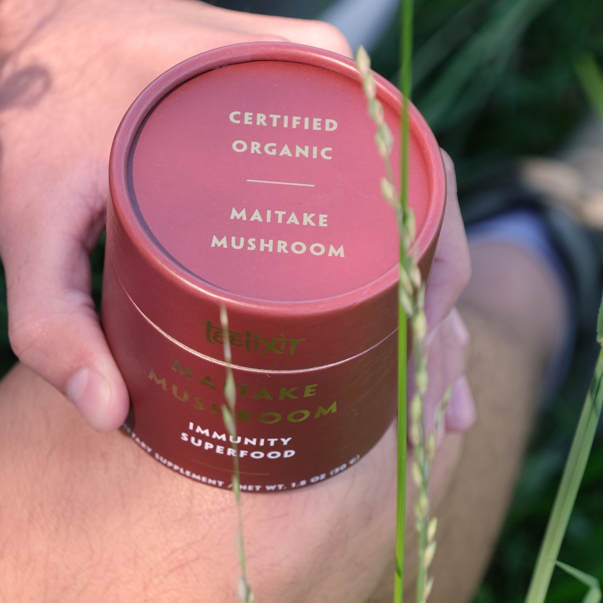 teelixir organic maitake mushroom 250g