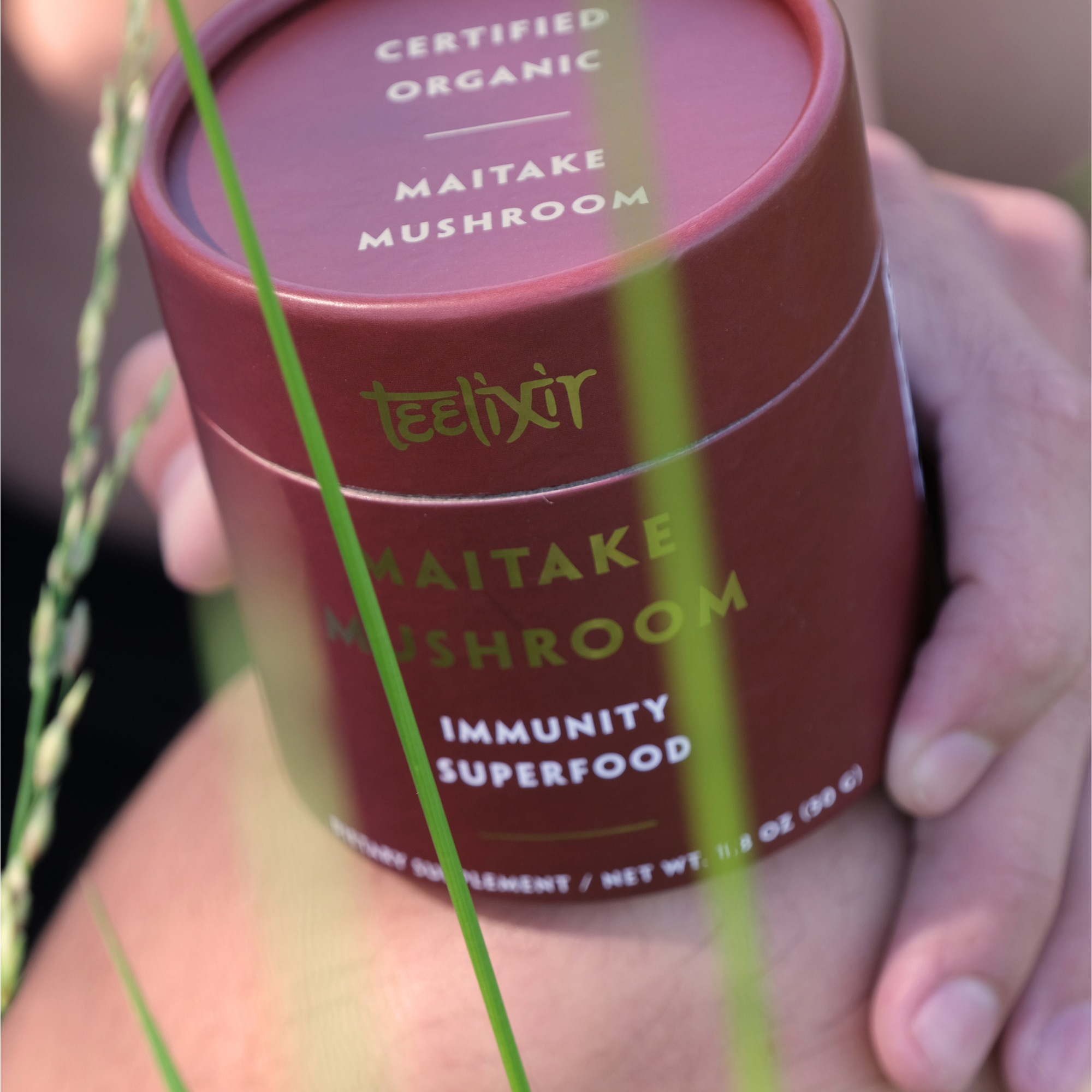 teelixir organic maitake mushroom 250g