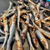 1x just whole sardines
