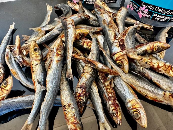 1x just whole sardines
