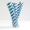 200 pack blue white drinking straws biodegradable eco paper birthday party event bistro bar cafe take away 200 pack blue white drinking straws biodegradable eco paper birthday party event bistro bar cafe take away