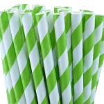 1000 bulk wholesale pack green white drinking straws biodegradable eco paper birthday party event bistro bar cafe take away
