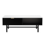 Modern black and white coffee table with storage
