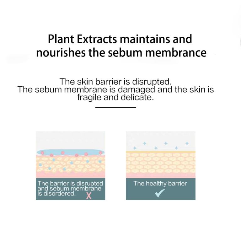Healthy vs damaged skin barrier illustration.
