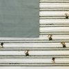 Striped cloth with cartoon mice pattern.