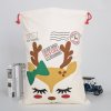 Christmas gift bag with reindeer design.